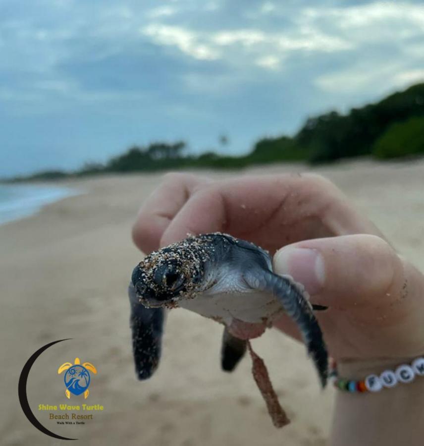 Shine Wave Turtle Beach Tangalle Esterno foto