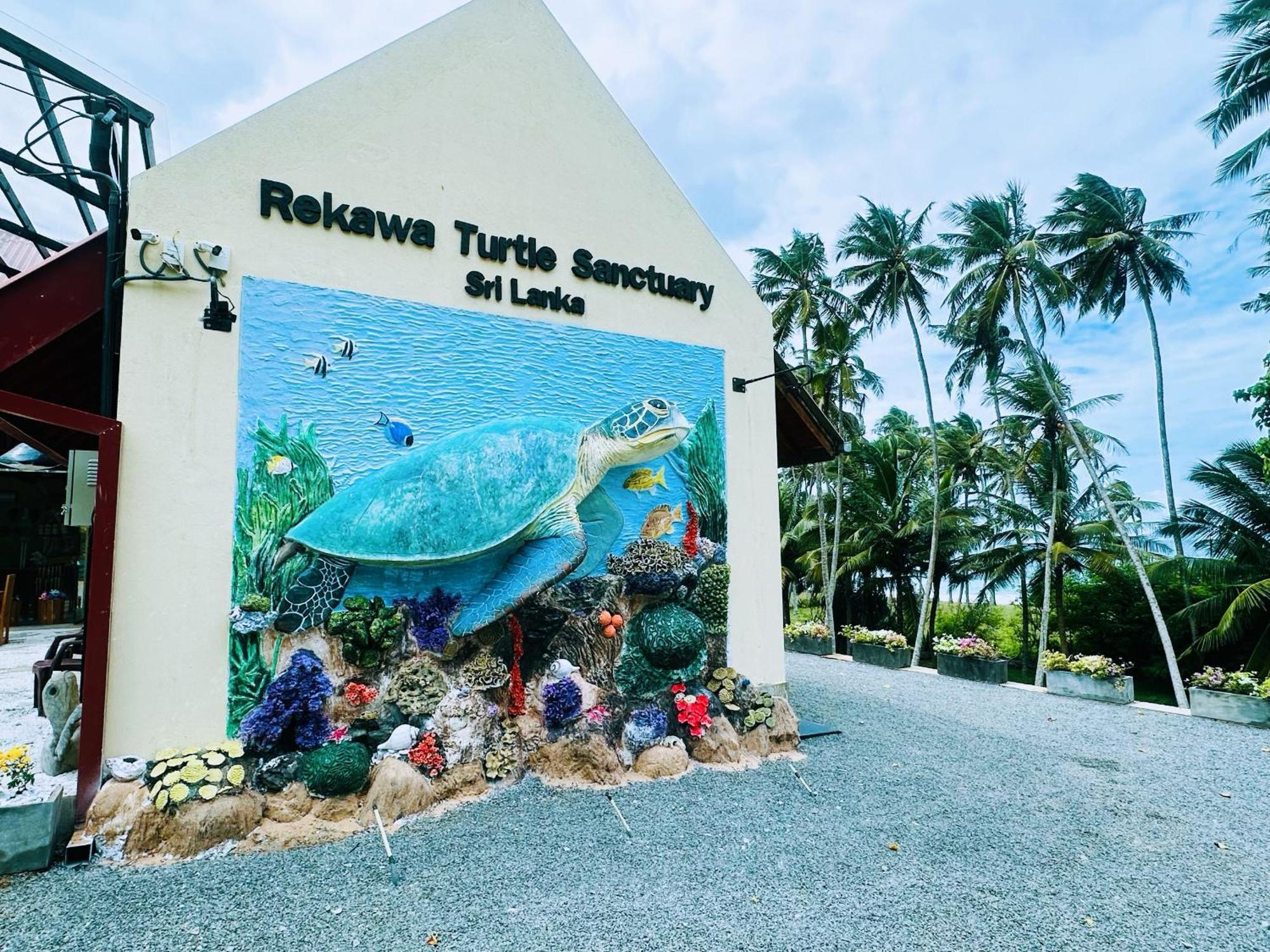 Shine Wave Turtle Beach Tangalle Esterno foto